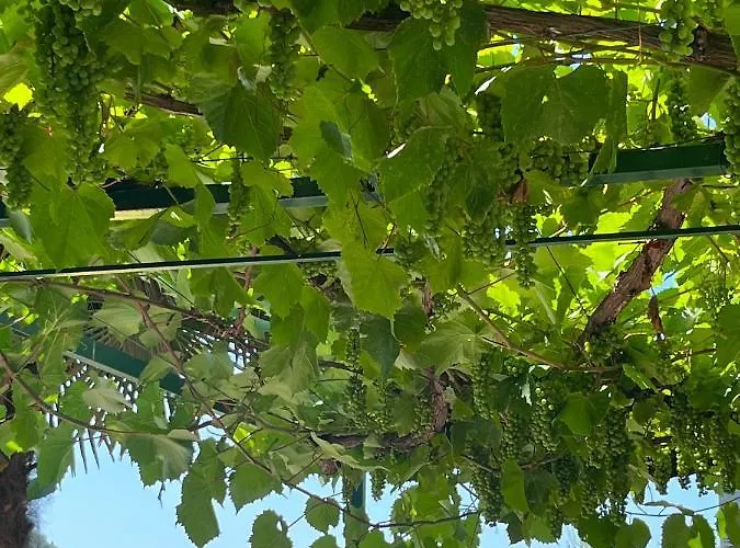 Giotto 2* Garda (Verona)